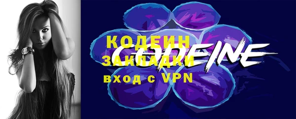 соль ск Няндома