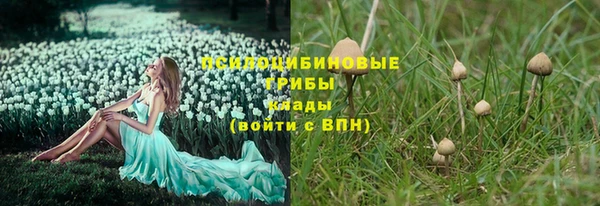 ешки Абинск