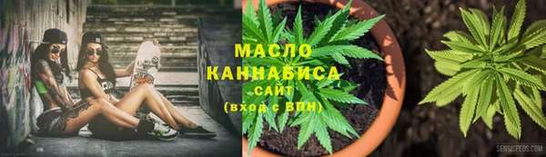 соль ск Няндома